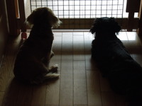 DSCN0085