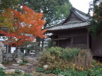 DSCN1204