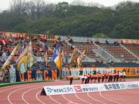 DSCF7037