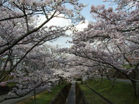 DSCF1199