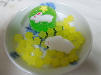 DSCN9855