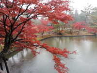 20141125_085415