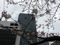 20160324_130030