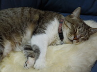 DSCN0226