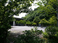 PIC00094F