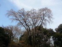 20160329_154104