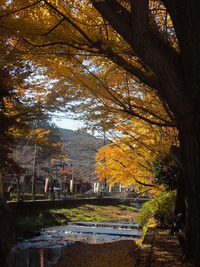 DSCN0528