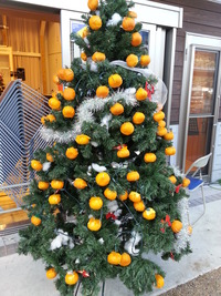 20151219_122114