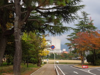 DSCN1299