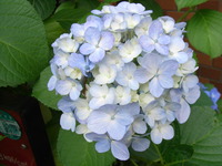 RIMG0157