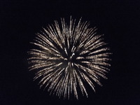 DSCN8741
