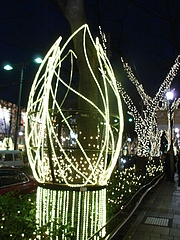 RIMG0217