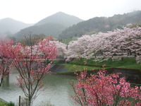 DSCF1041