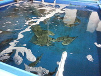 20150327_155828