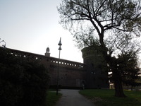 DSCN6523