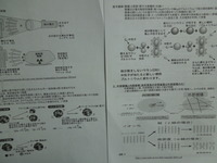 DSCN3556