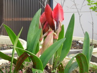 DSCN0153