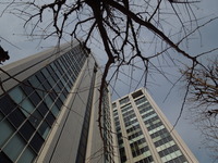 DSCN2966