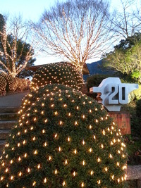 20141227_171941