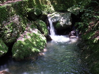 DSCF7552
