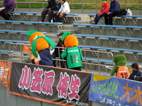 DSCN6019