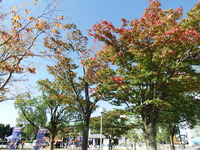 DSCF1319
