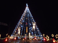 DSCN0074
