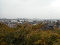 DSCN0524