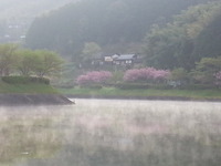 20160416_063318