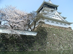 RIMG0238