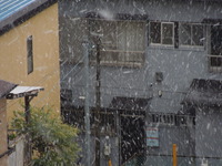 DSCN2976