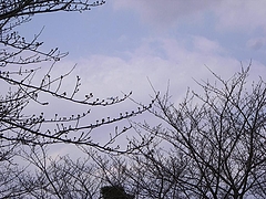 RIMG0903