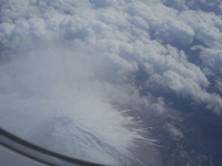DSCN0584