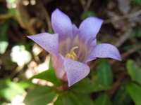 DSCN0651