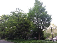 20160426_175431