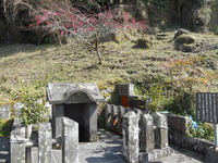 DSCN0853