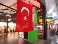 DSCN1100