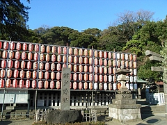 RIMG0043