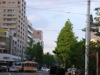 RIMG0001