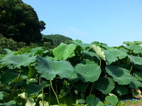 20160626_075356
