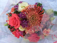 RIMG0781