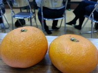 20151224_191805