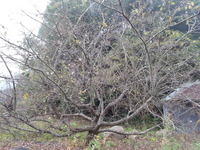 20161026_063105