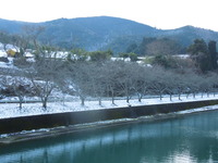 DSCN9908
