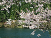 DSCF1248