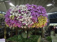DSCN4723
