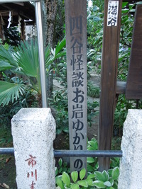 DSCN9923