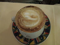DSCN6231