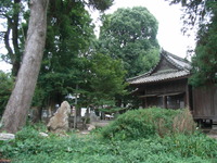RIMG0347
