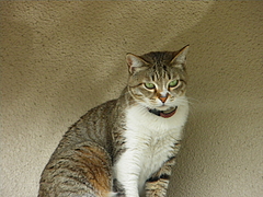 IMGP2157